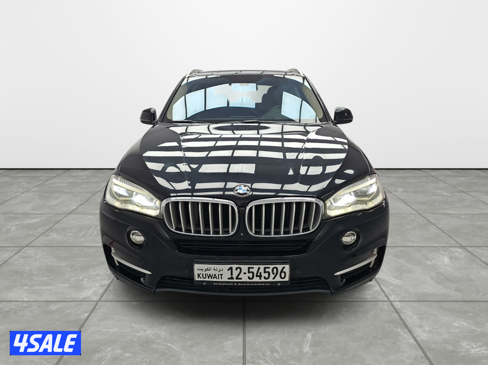 BMW X52
