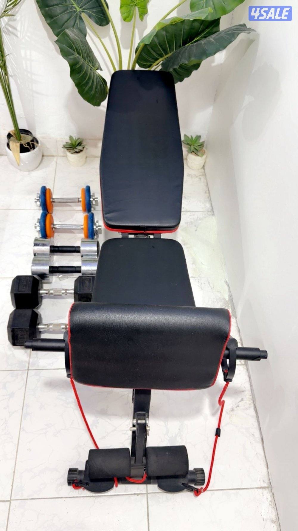 كرسي بنش + دامبل0