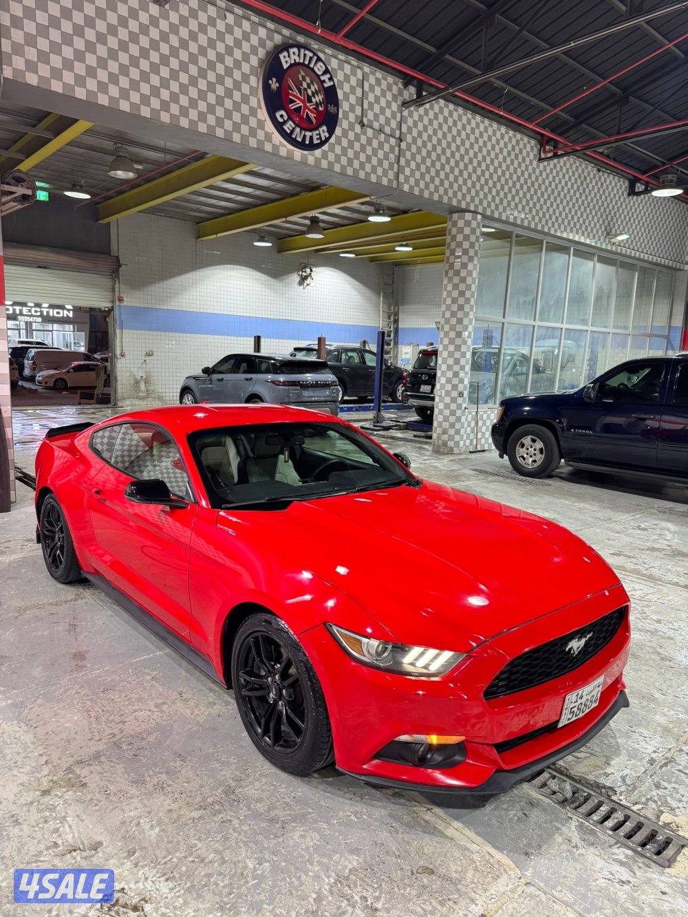 موستنق 4 سلندر تيربو 2016 بحاله ممتازه للبيع0