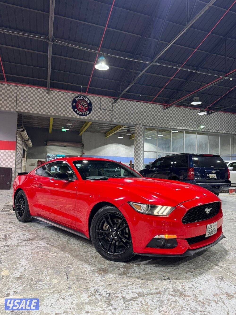 موستنق 4 سلندر تيربو 2016 بحاله ممتازه للبيع2