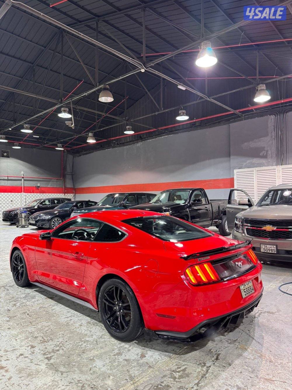 موستنق 4 سلندر تيربو 2016 بحاله ممتازه للبيع3