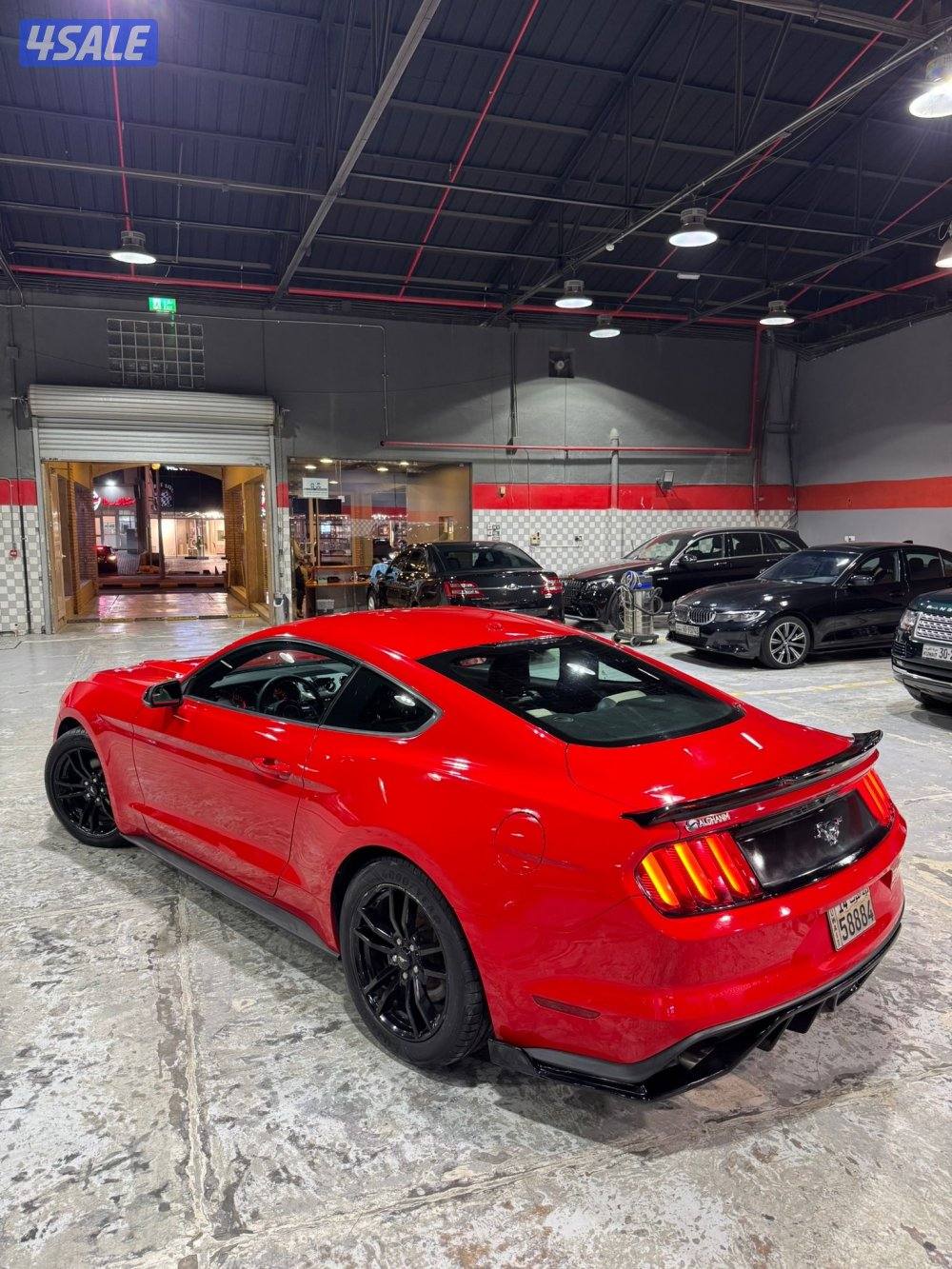 موستنق 4 سلندر تيربو 2016 بحاله ممتازه للبيع4