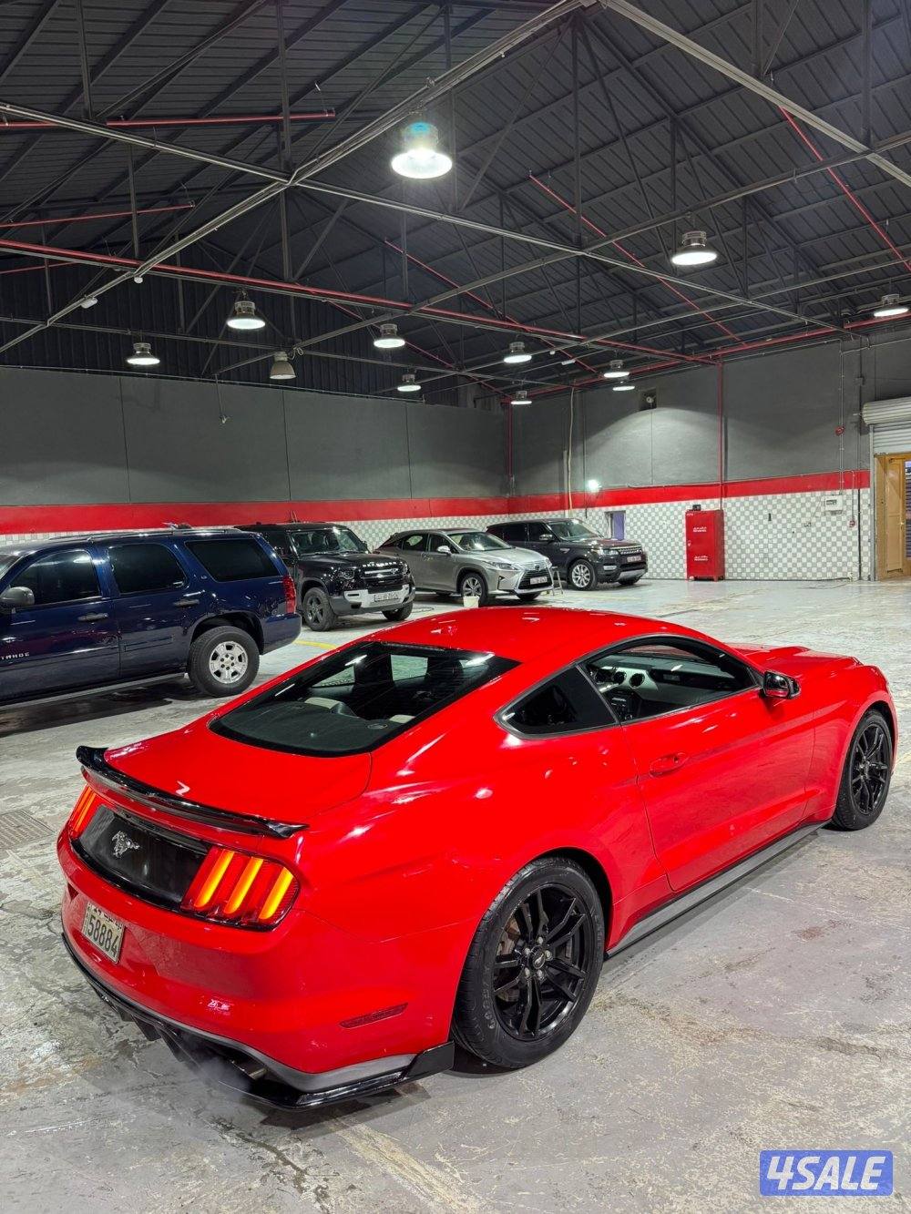 موستنق 4 سلندر تيربو 2016 بحاله ممتازه للبيع5