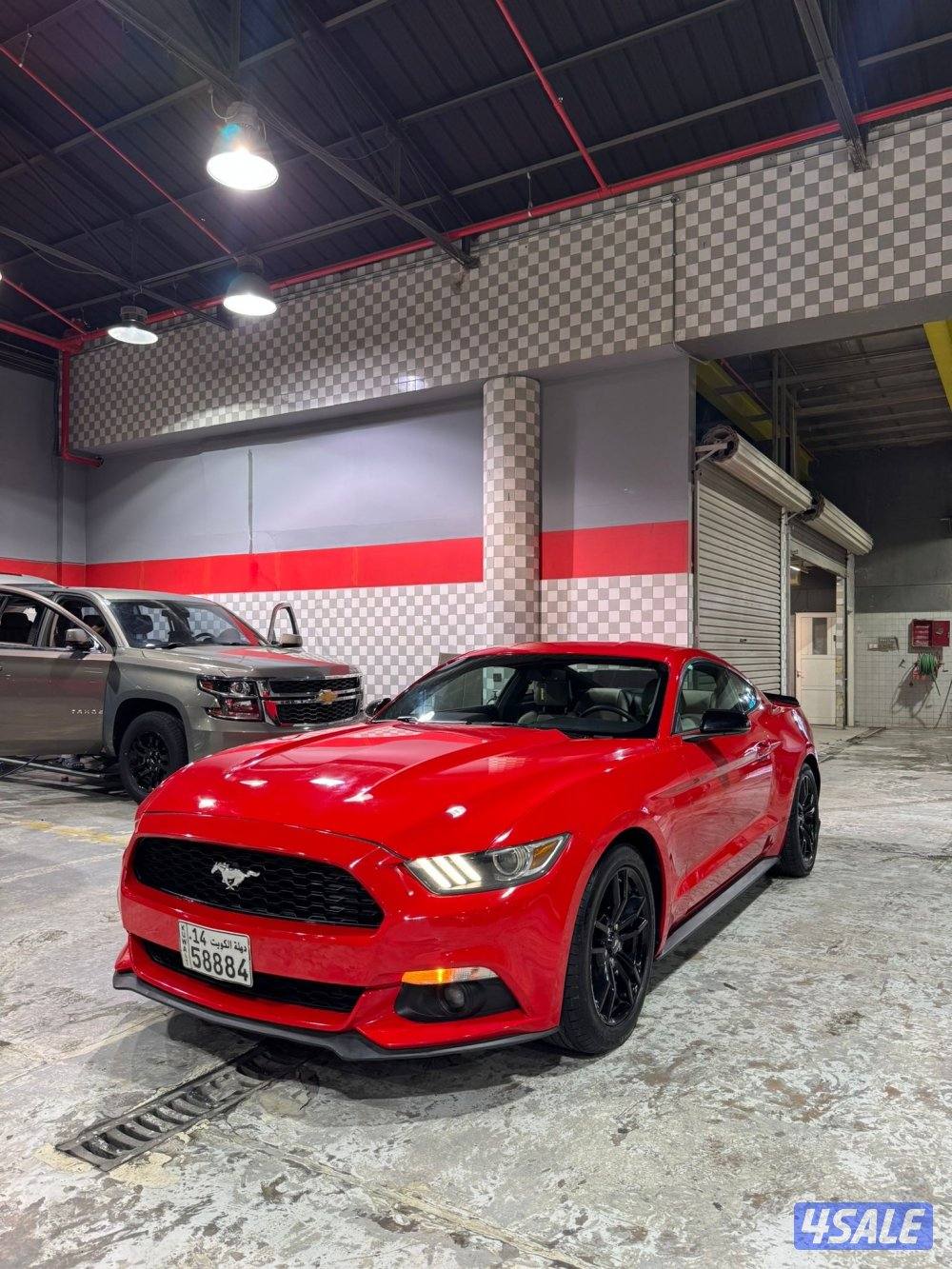 موستنق 4 سلندر تيربو 2016 بحاله ممتازه للبيع6