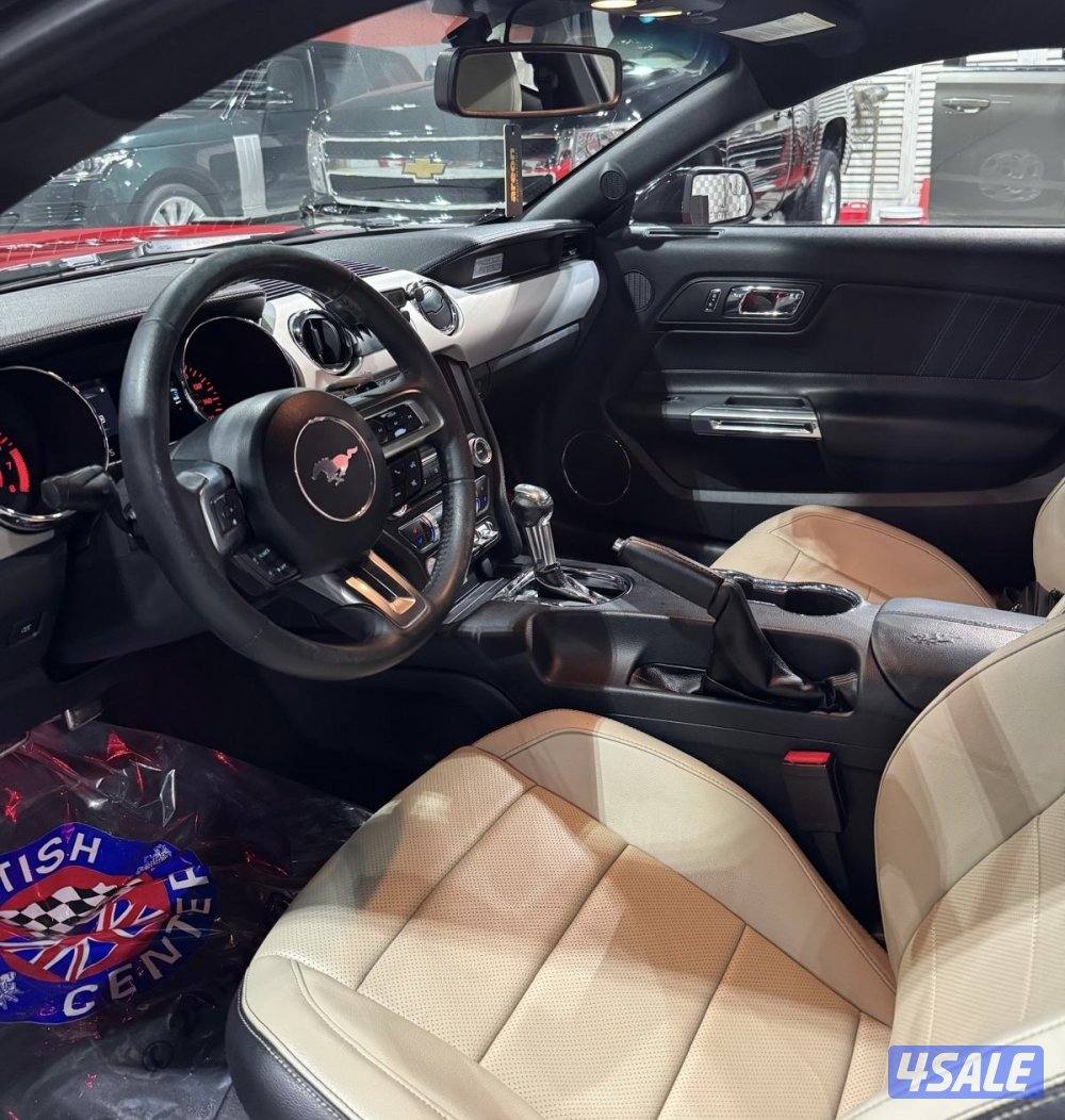 موستنق 4 سلندر تيربو 2016 بحاله ممتازه للبيع7