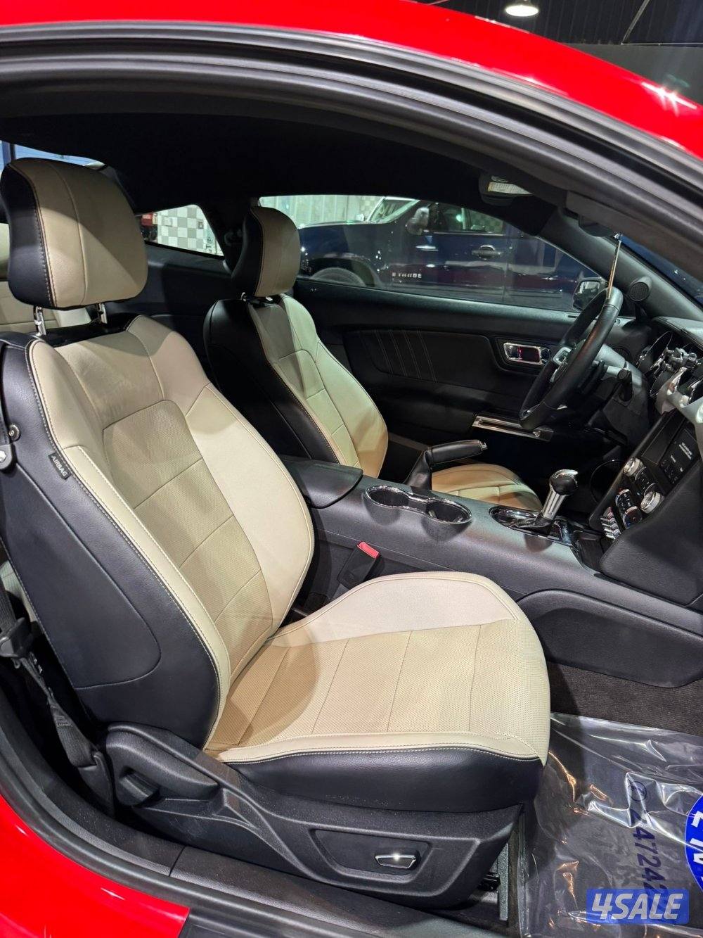 موستنق 4 سلندر تيربو 2016 بحاله ممتازه للبيع8