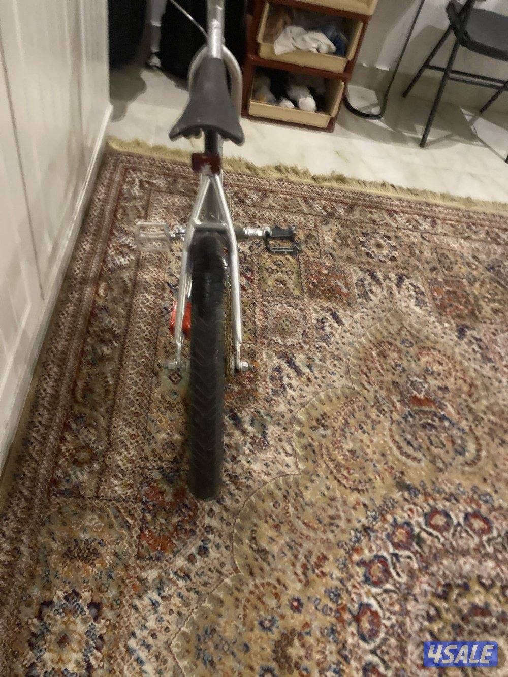 الزهراء قطه 10