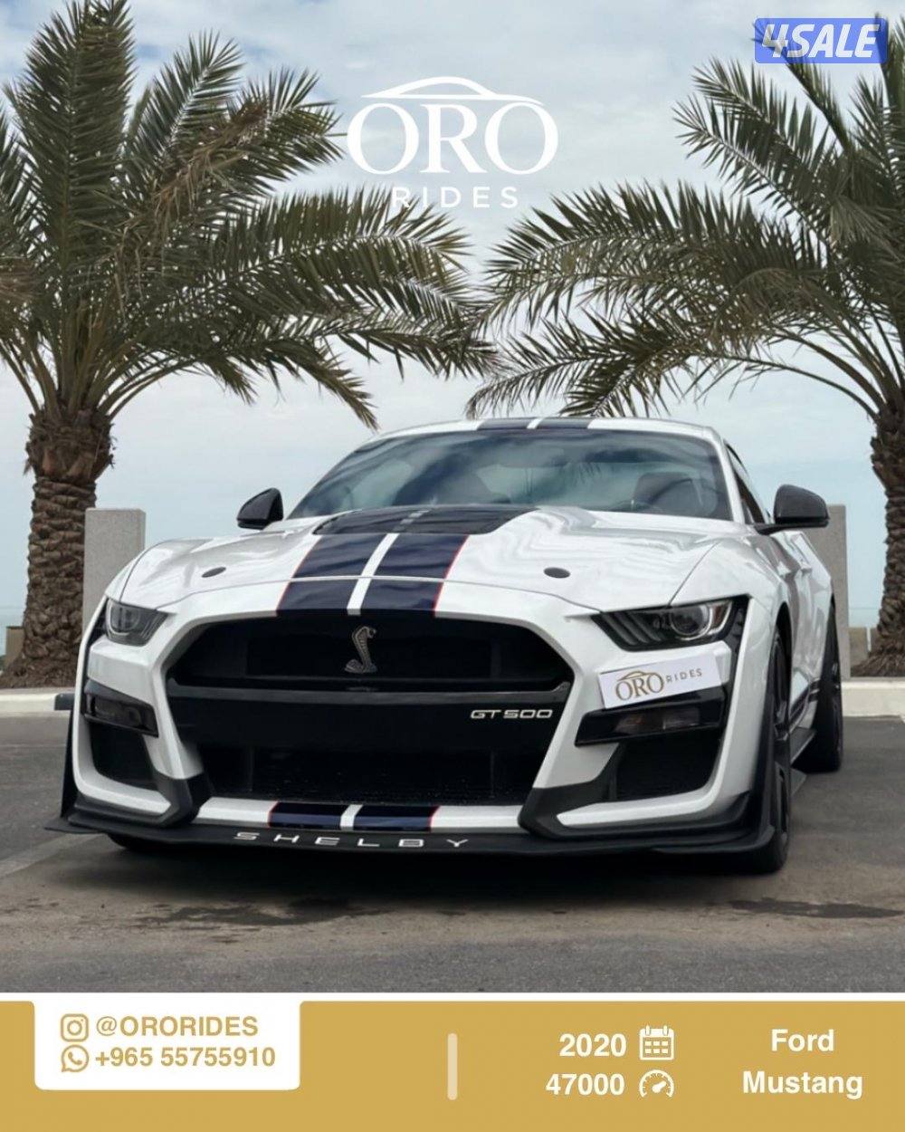 Ford Mustang Shelby GT5000