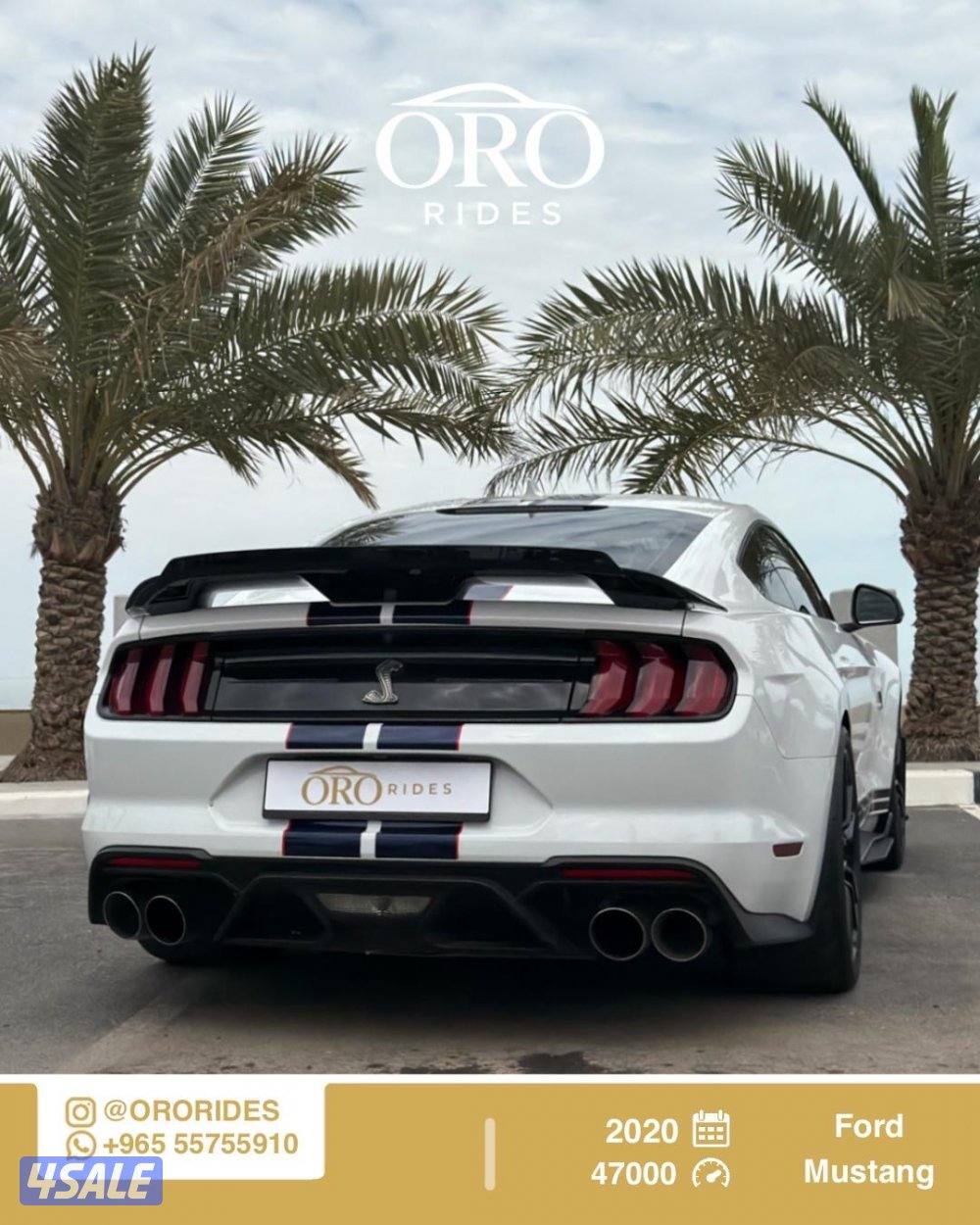 Ford Mustang Shelby GT5001