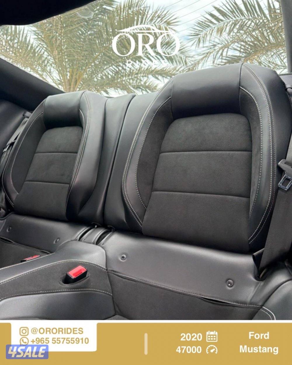 Ford Mustang Shelby GT5004