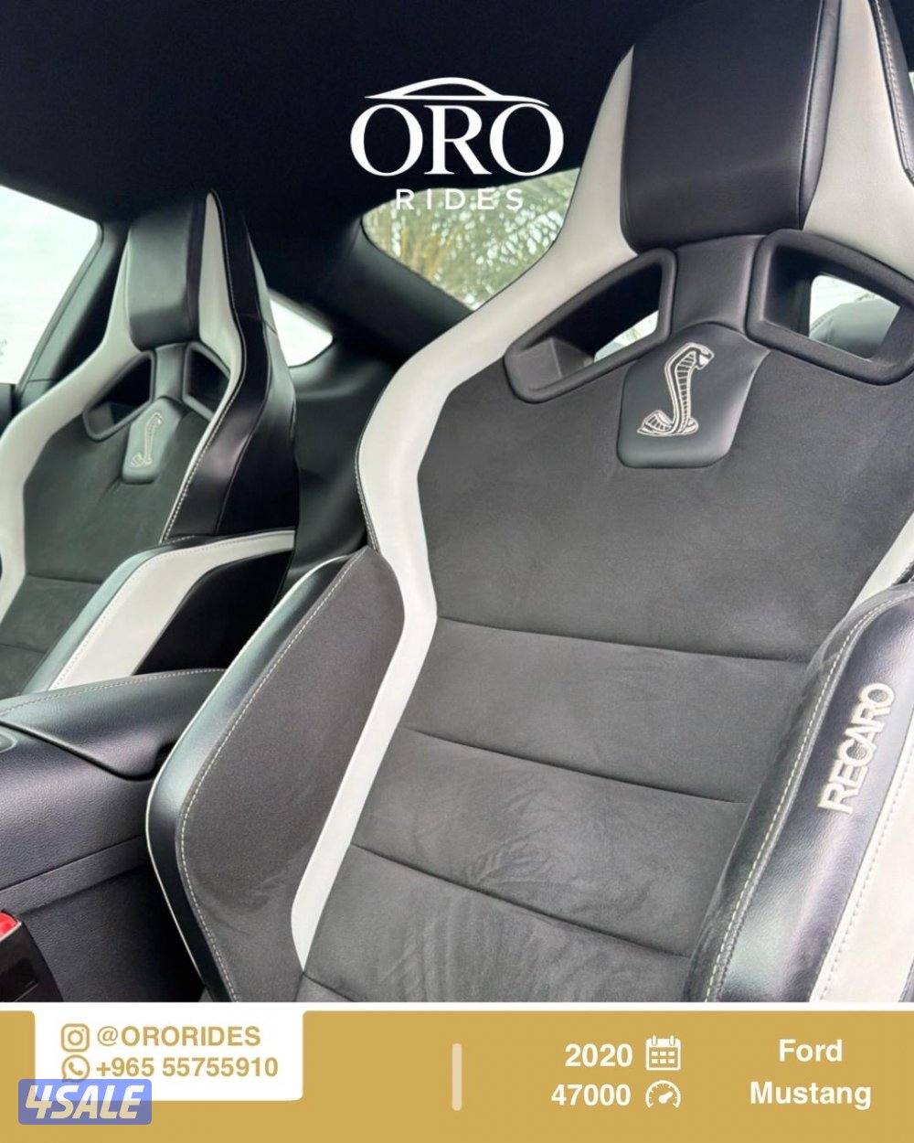 Ford Mustang Shelby GT5005