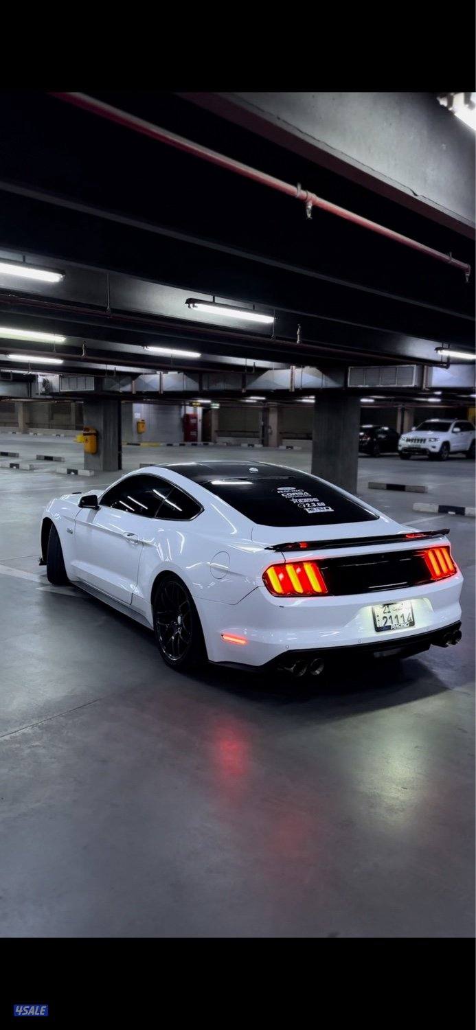 2015 قير عادي1