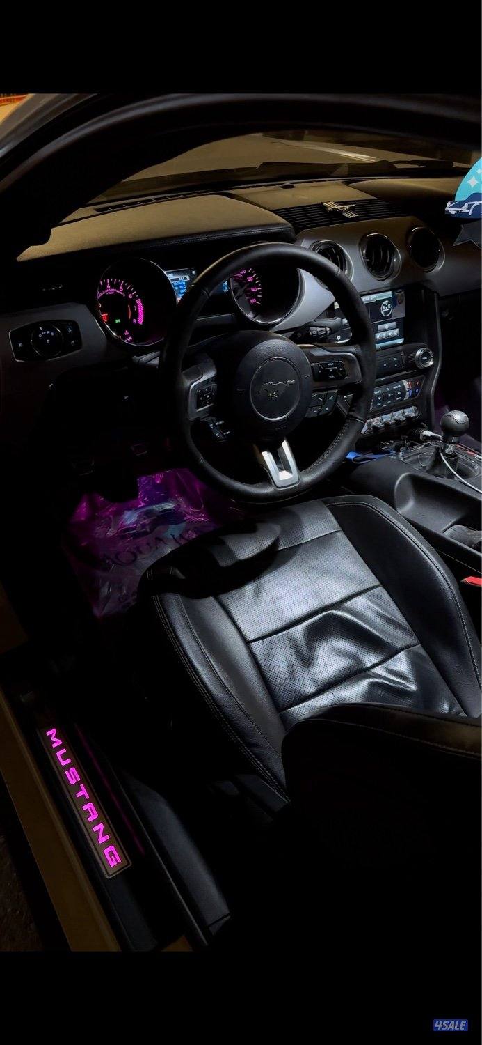 2015 قير عادي5