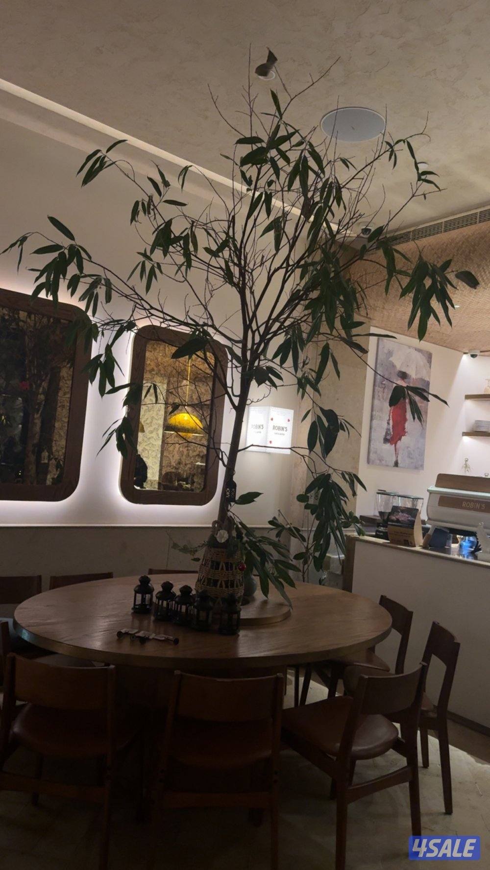 بنيد القار قطعهً٢3