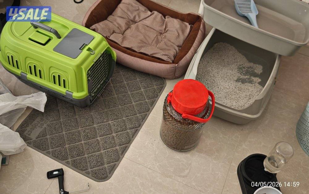 شمال غرب صليبيخات0