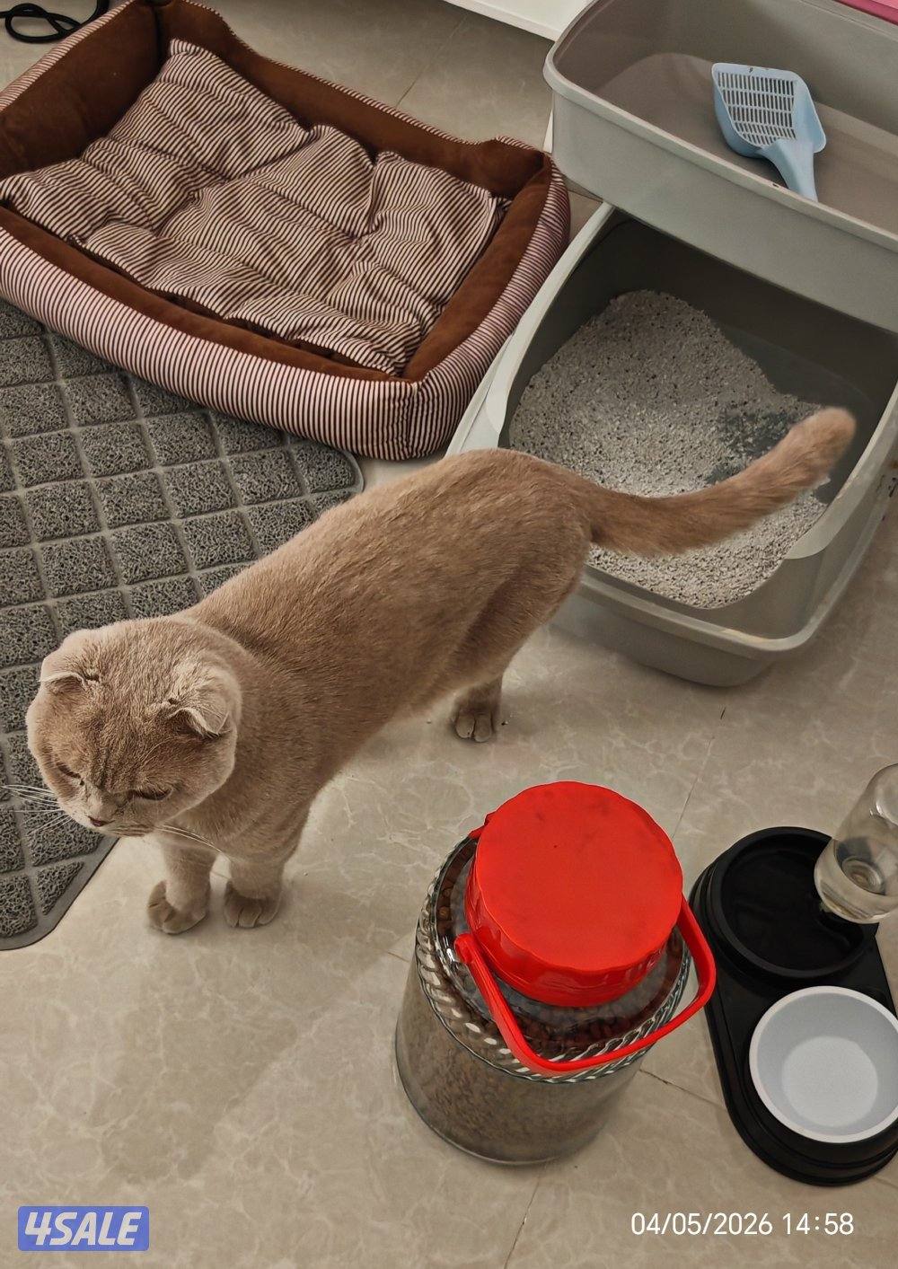 شمال غرب صليبيخات2