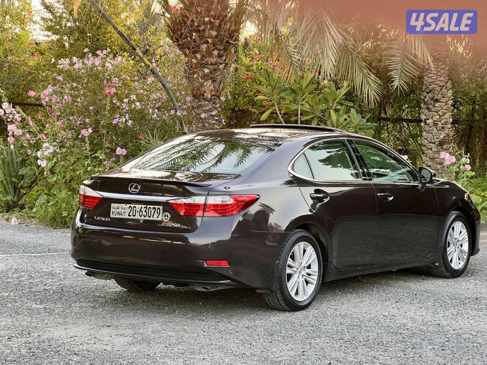 البيع بحاله الوكاله4