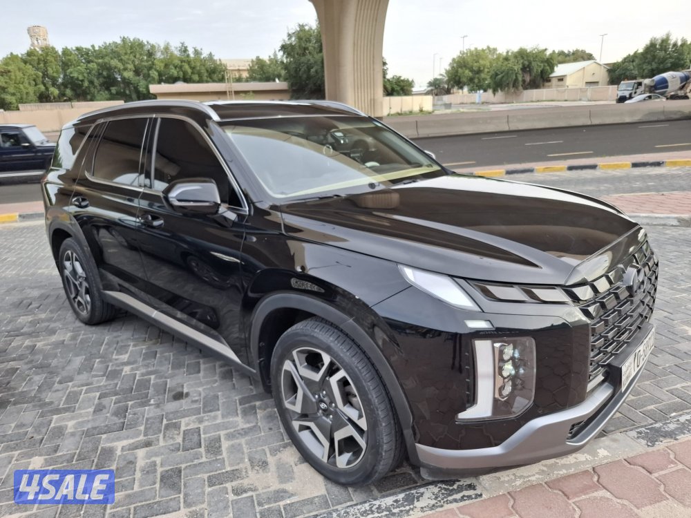 للبيع بلسيد موديل 20233