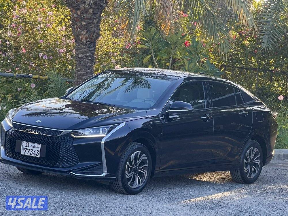 البيع بحاله الوكاله5