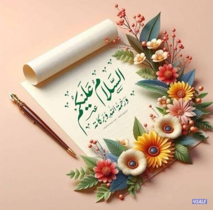 مطلوب نخله0