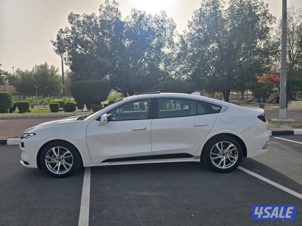 تورس ترند صبغ الوكالة 20232