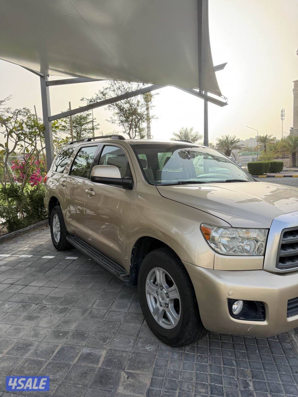 سكويا ٢٠١٣ قمه بالنظافه1