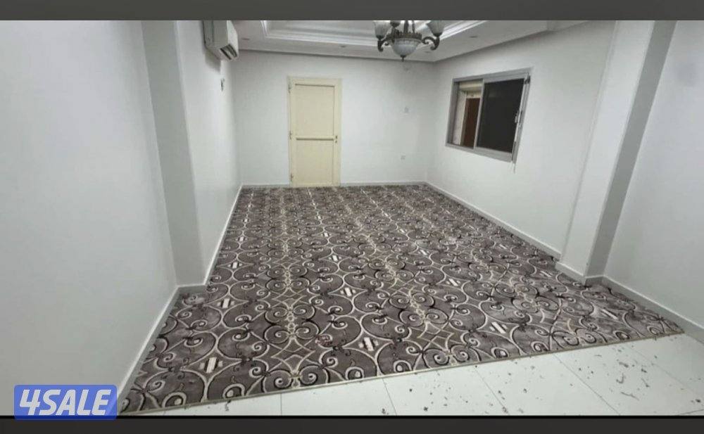 يوجد لدينا سجاد قص بالمتر ساده ومشجر4