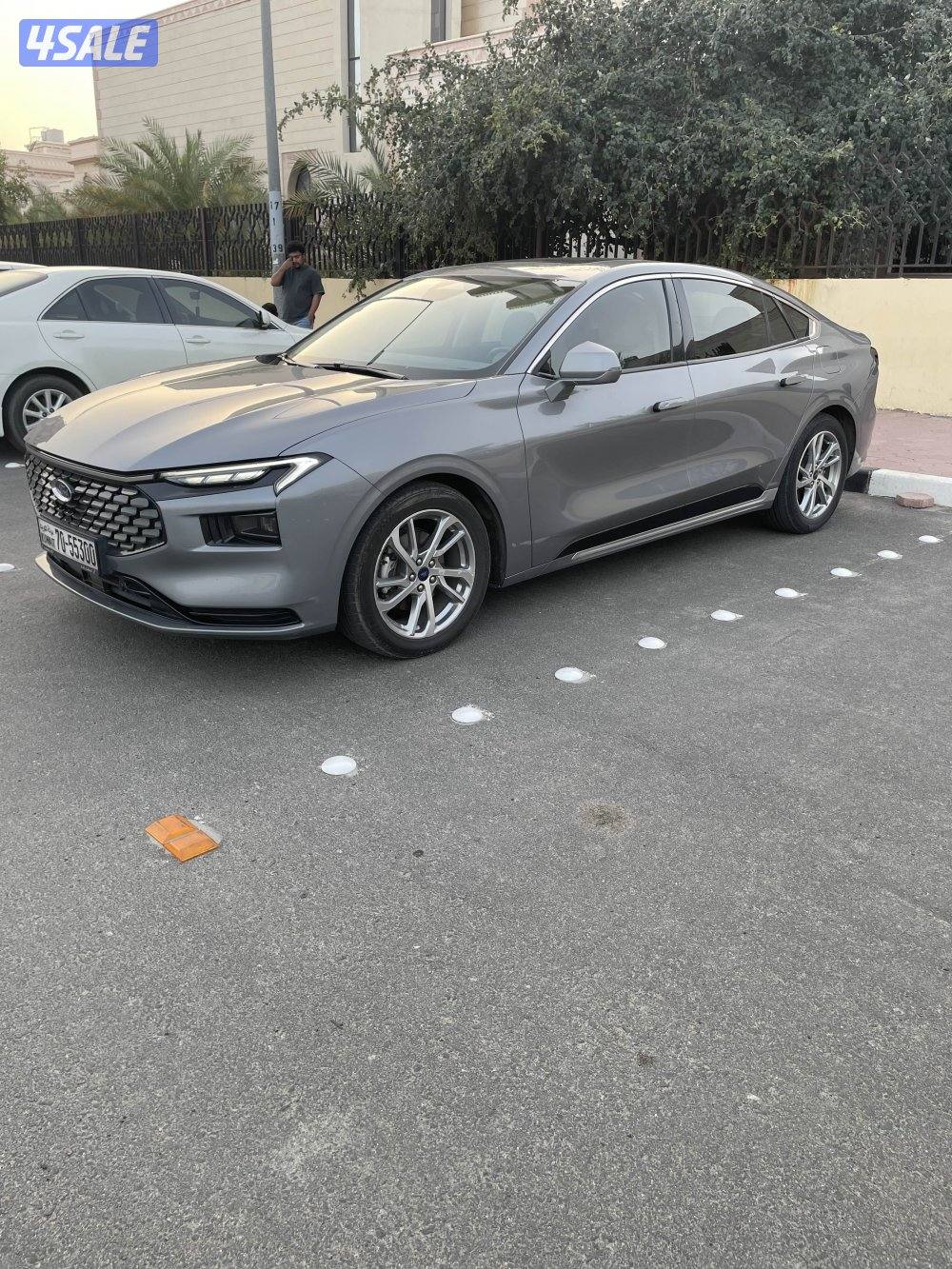 صبغ الوكاله0