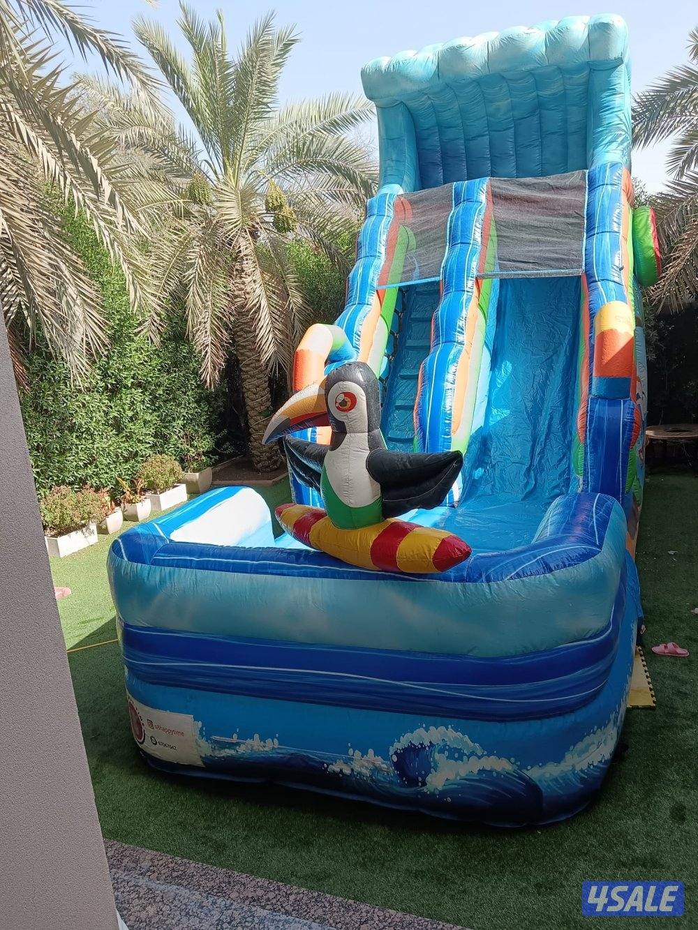 نطاطيات عادية للبيع1