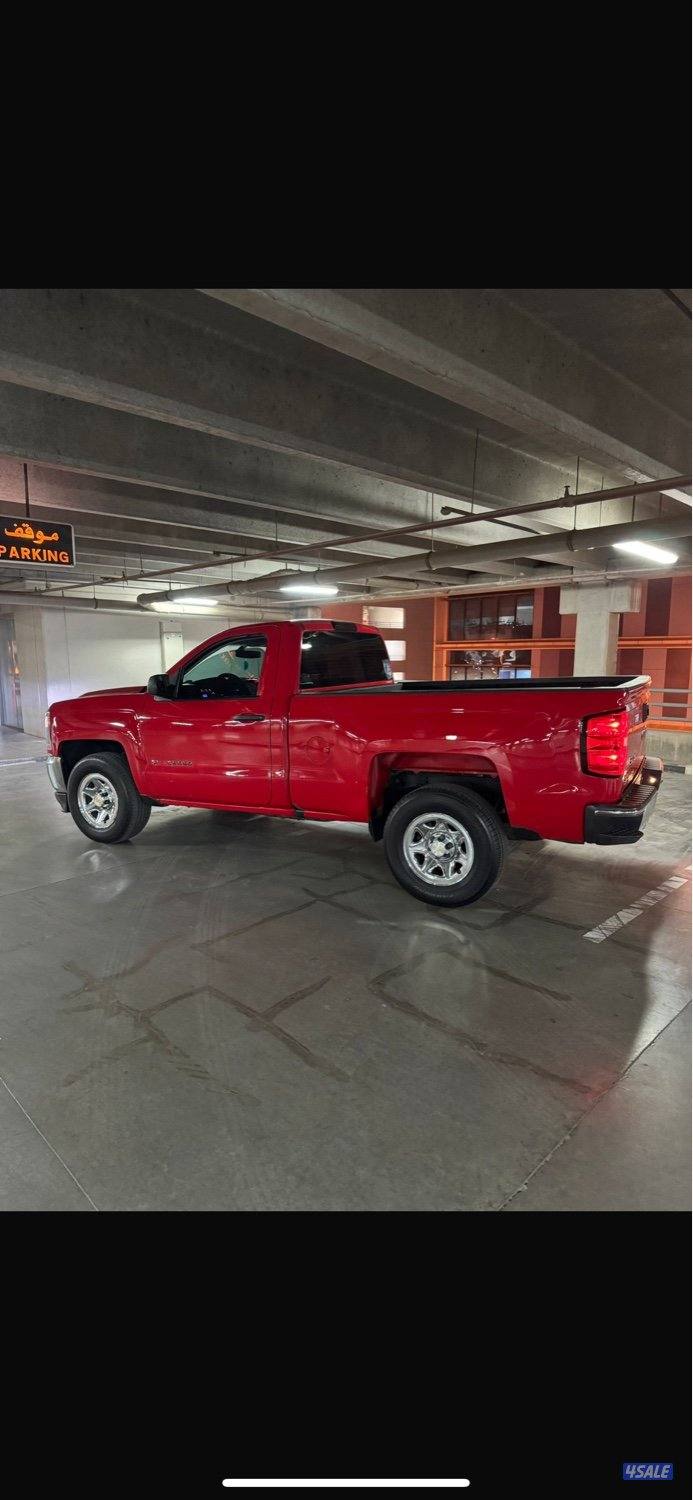 الصامل يبشر بالخير4