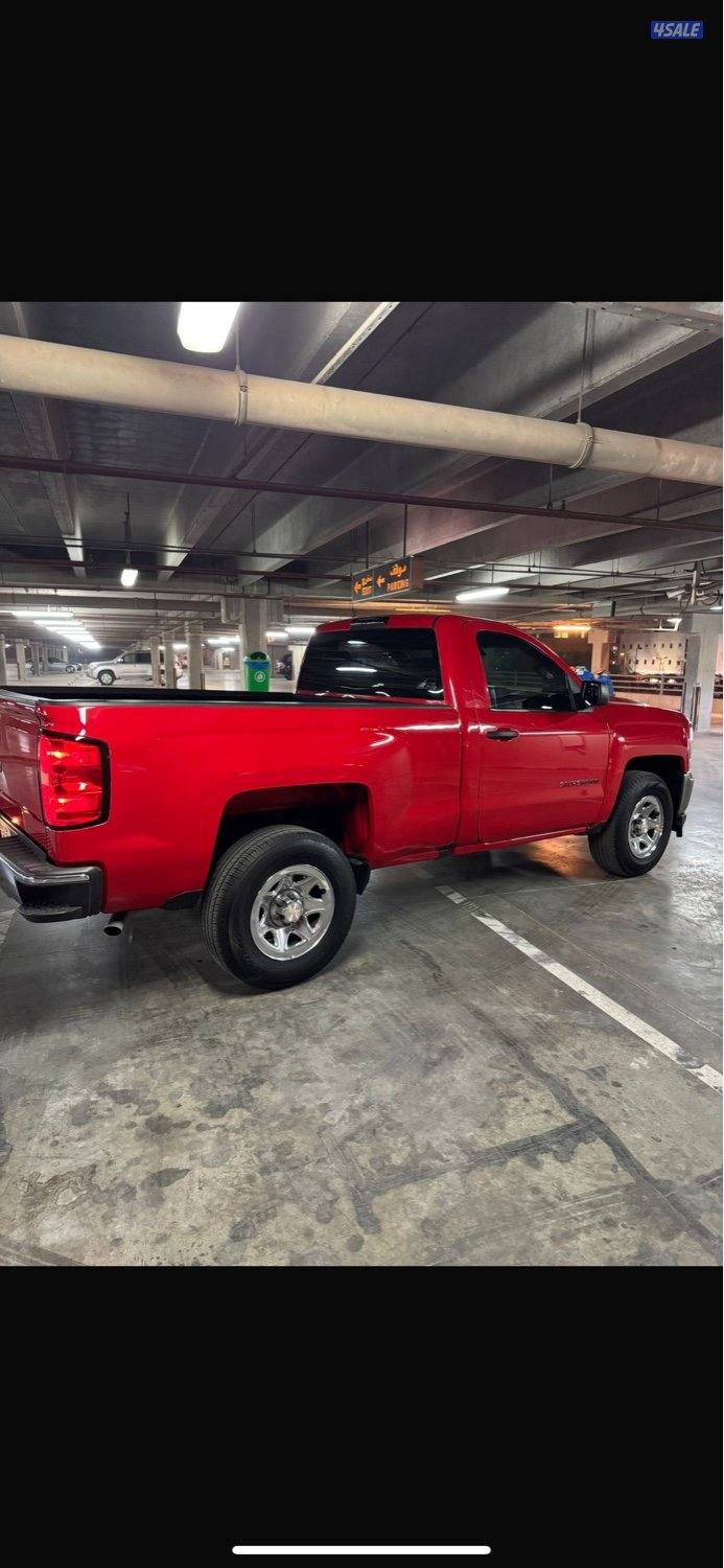 الصامل يبشر بالخير5