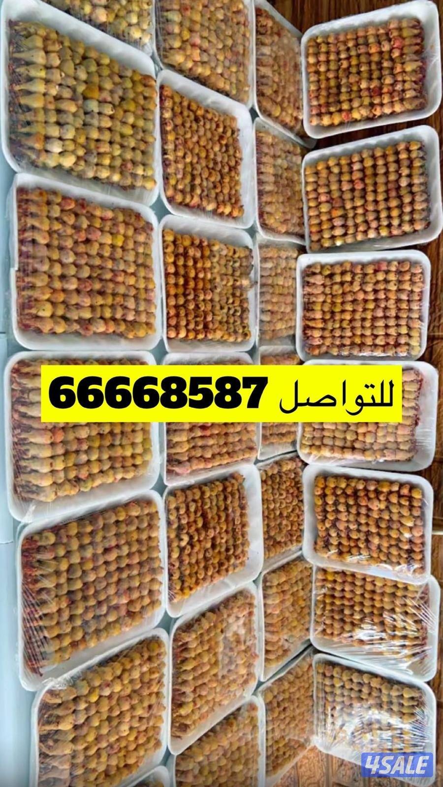 للبيع طيور1