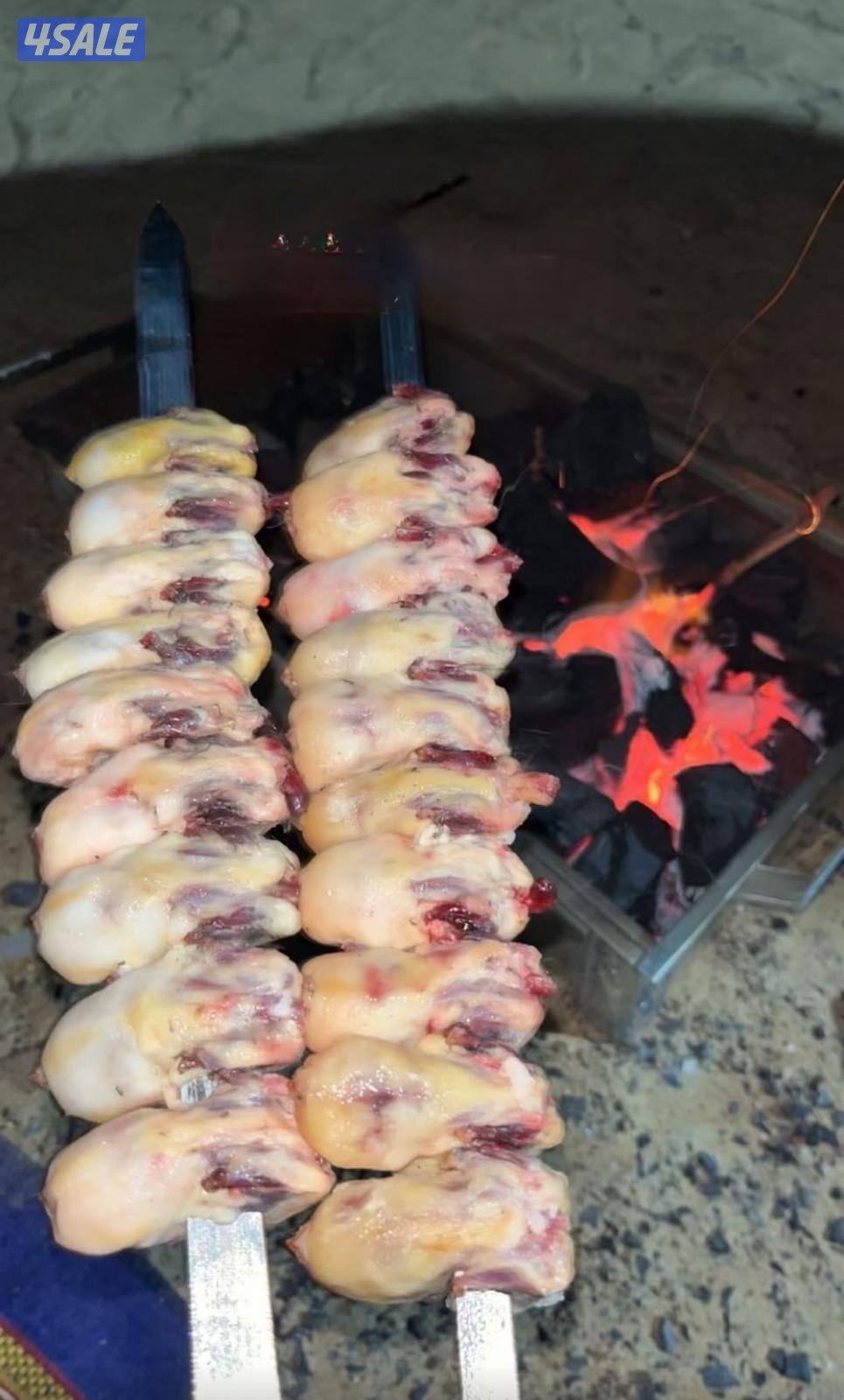 للبيع طيور8