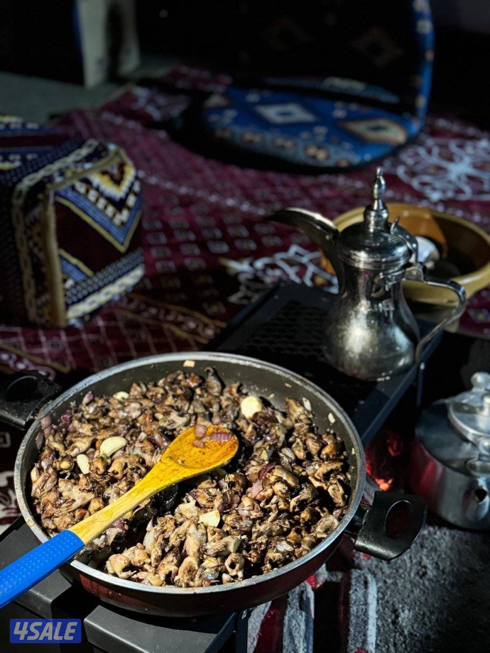 للبيع طيور9