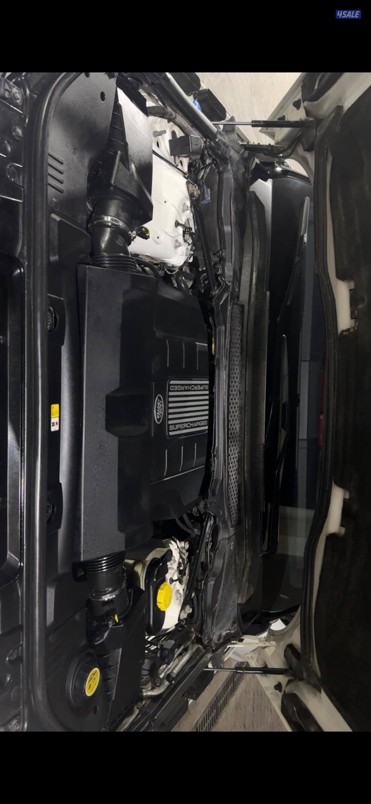 خمسه خمسه ثمانيه صفر سته ثلاثه ثمانيه ثنين9