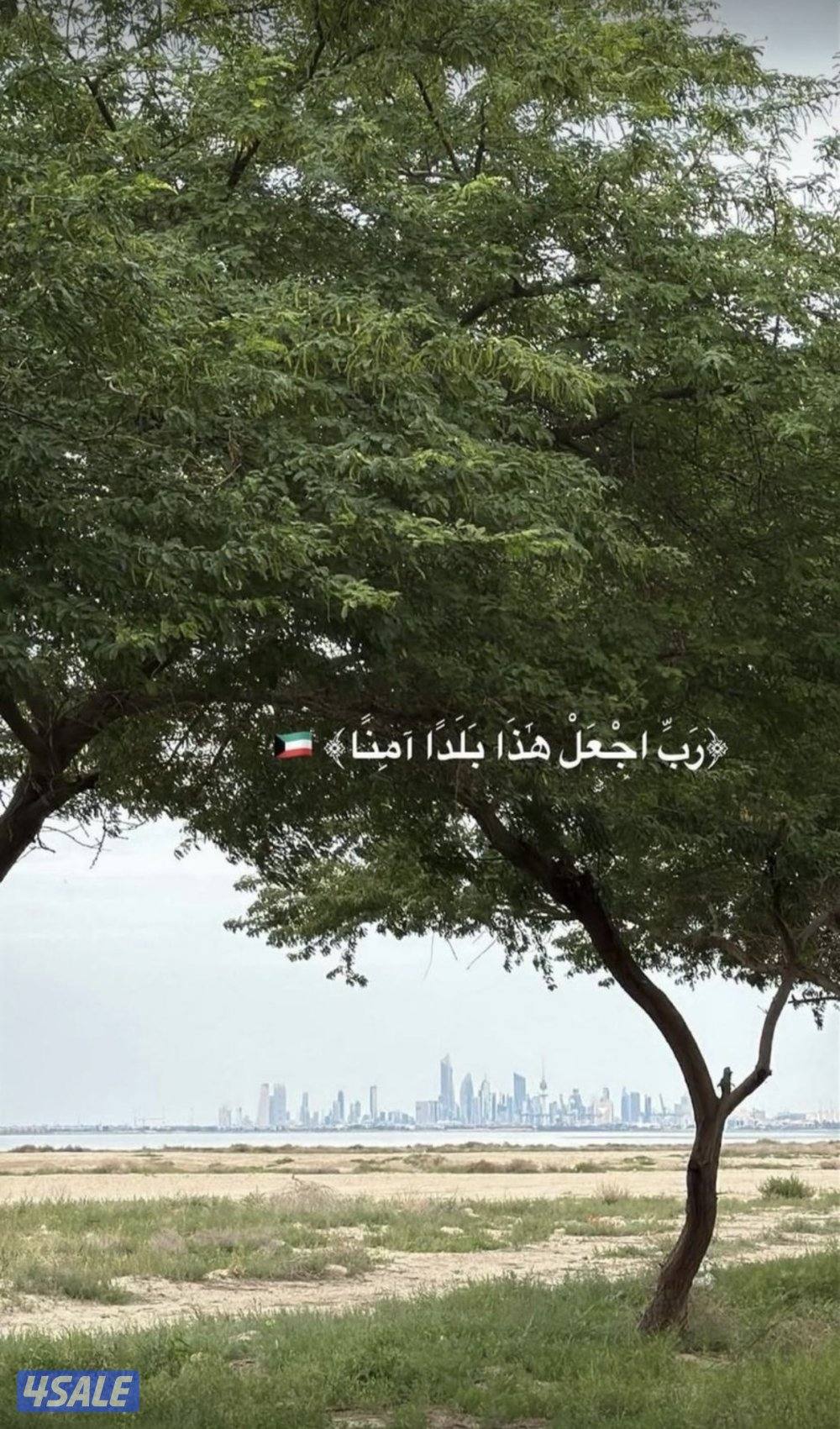 شقه للايجار0