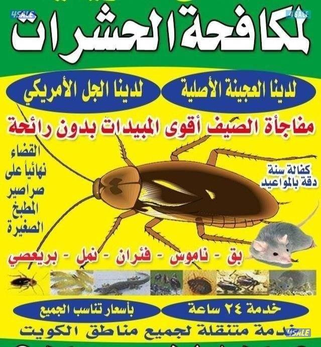 مكافحة حشرت وقورض مكافحة صرصير مطابخ مكافحة بق مكافحة فران مكافحة نمس1