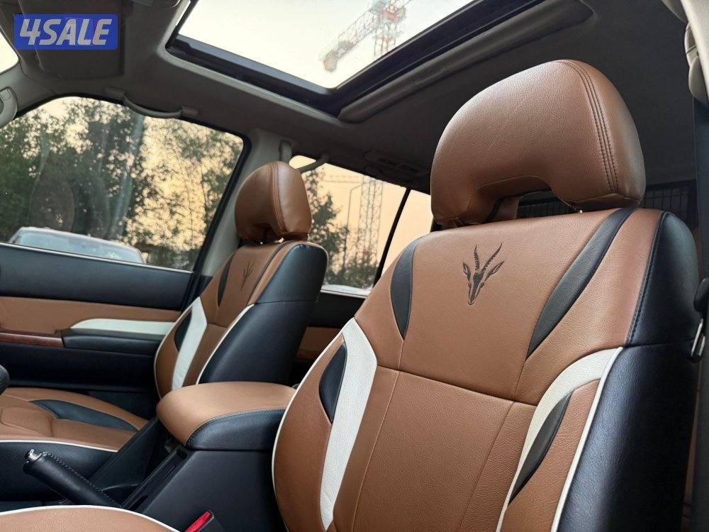 SAFARI GAZELLE X _20198