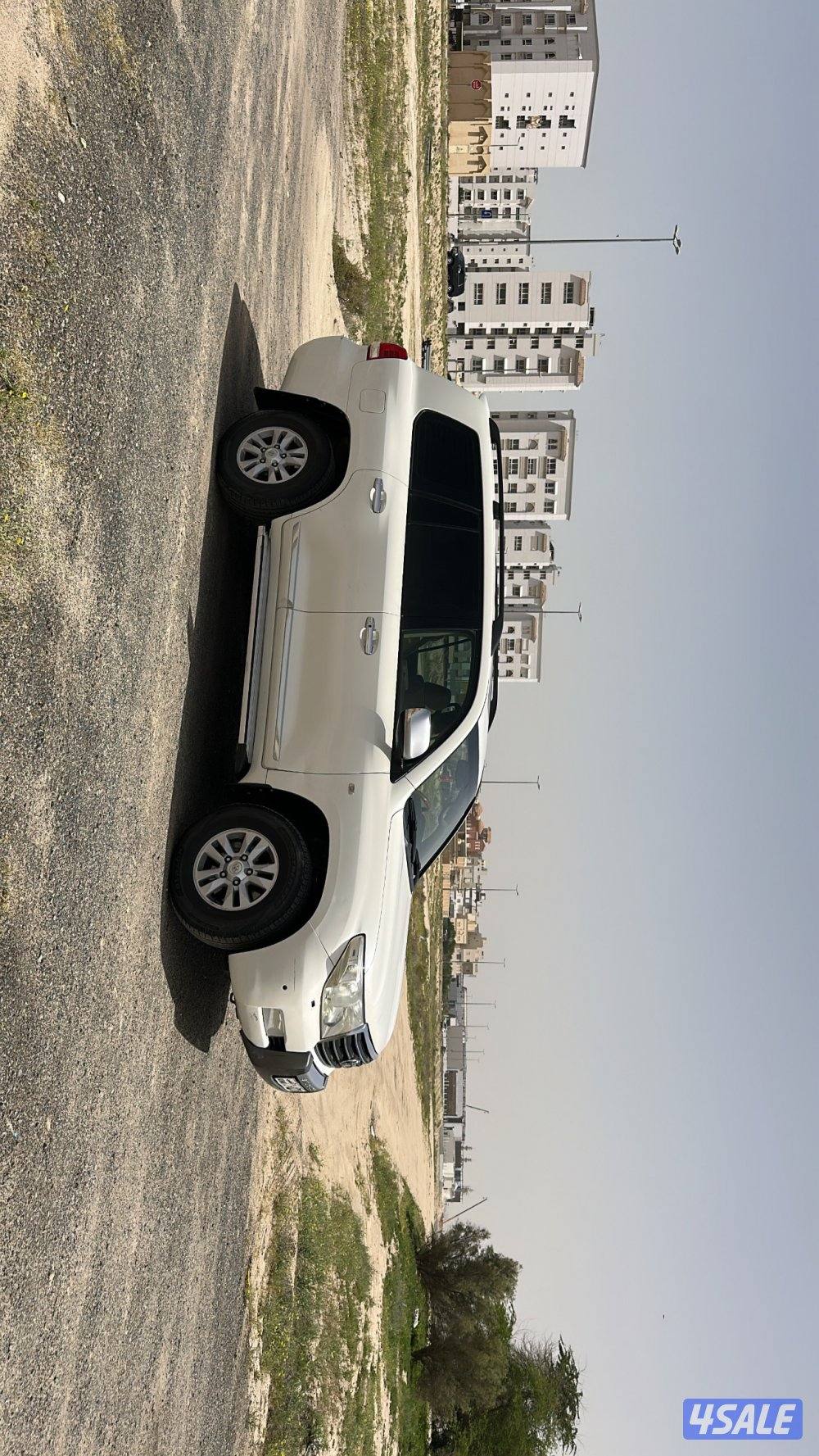 2009 صبغ الوكالة بالكامل2