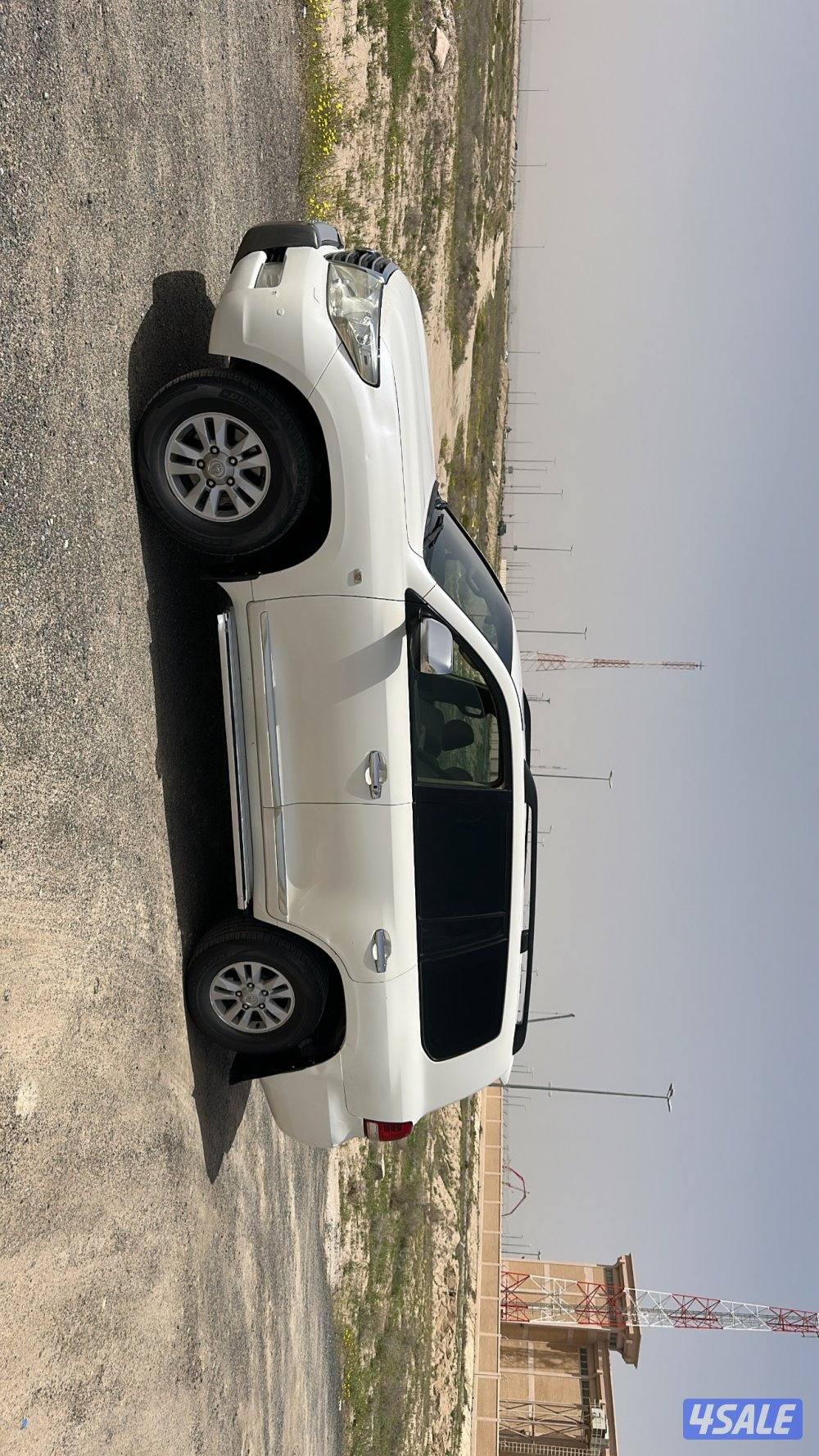 2009 صبغ الوكالة بالكامل3