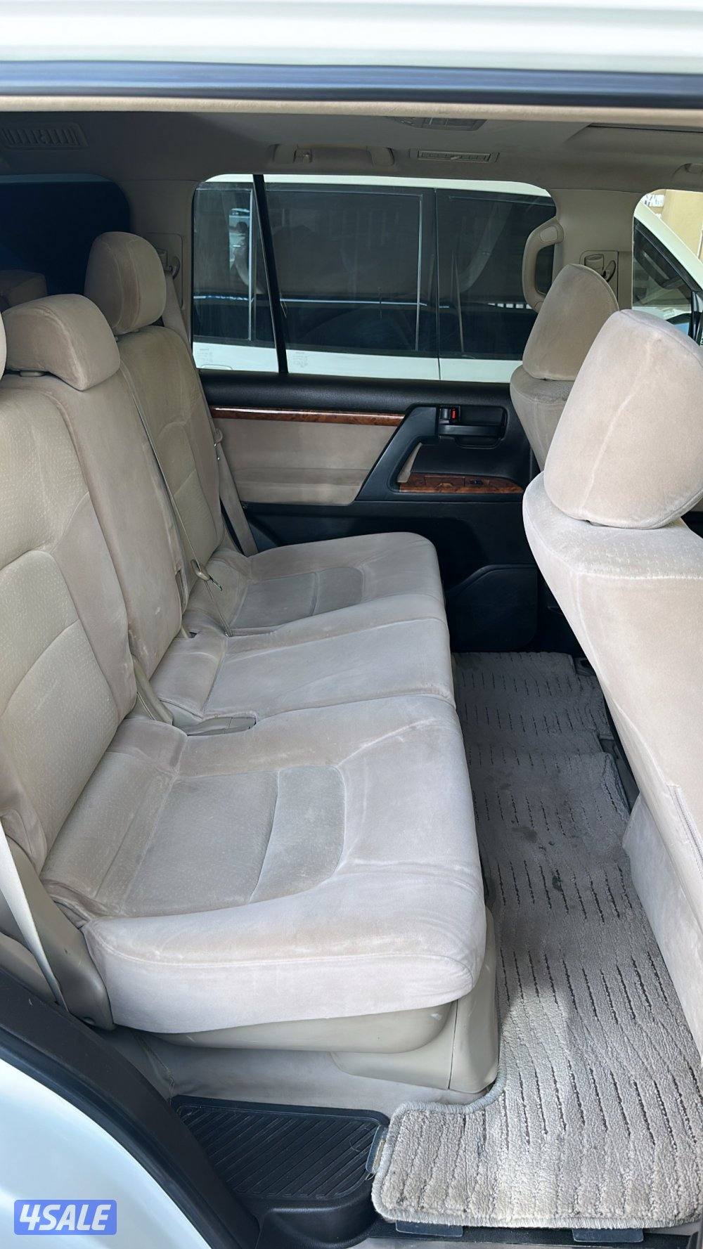 2009 صبغ الوكالة بالكامل6