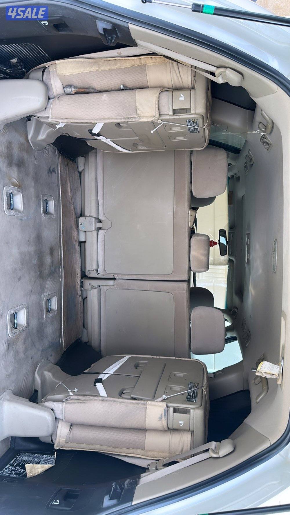 2009 صبغ الوكالة بالكامل7