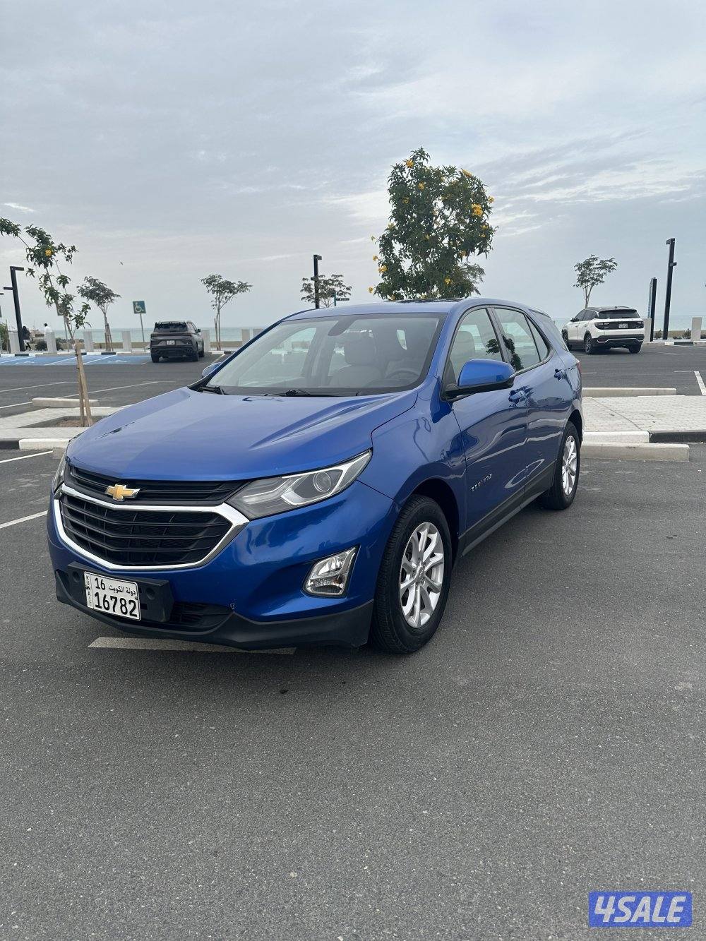 ايكوينكس 20193