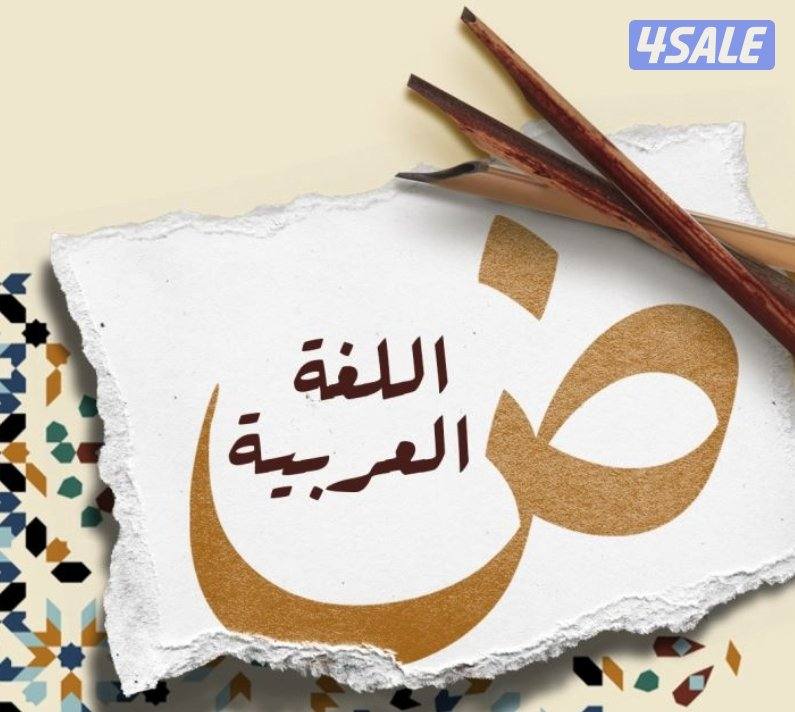 مدرس سوري  تأسيس ومتابعة لغة عربية ورياضيات0