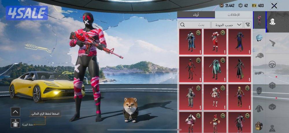 حساب ببجي للبيع3