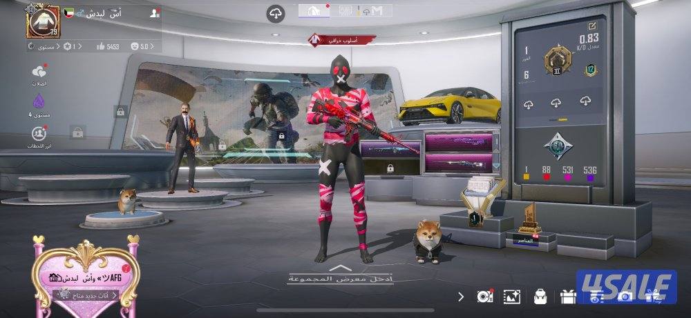 حساب ببجي للبيع2