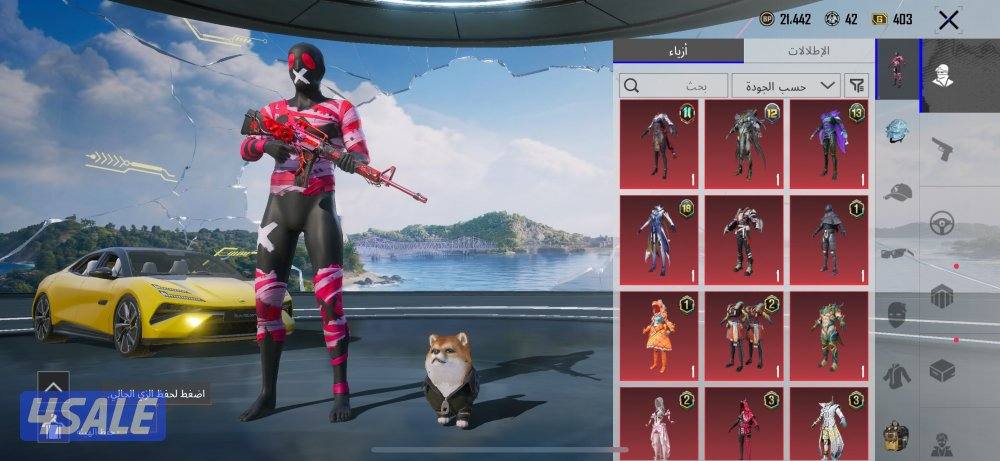 حساب ببجي للبيع6