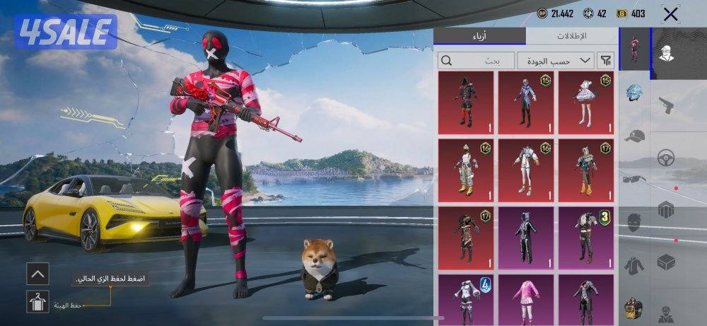 حساب ببجي للبيع7