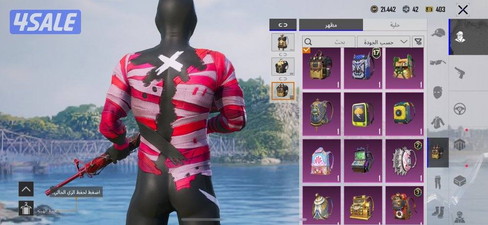 حساب ببجي للبيع12