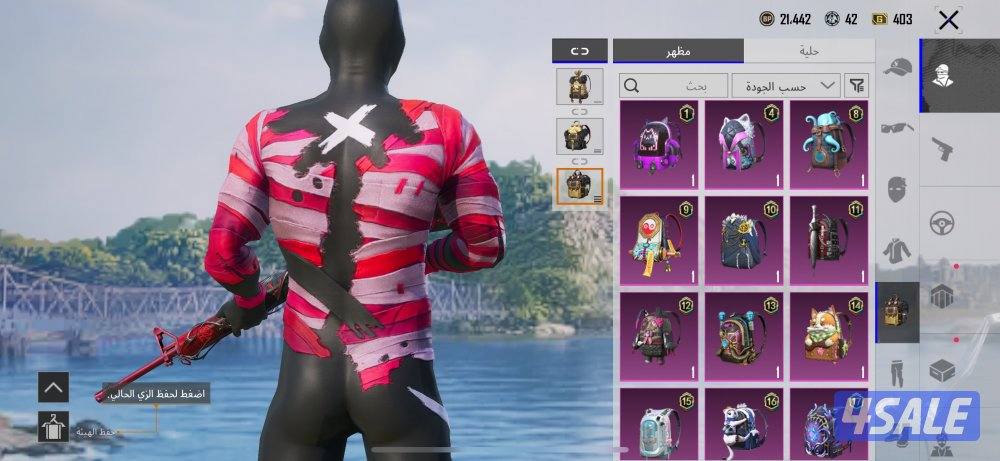 حساب ببجي للبيع11